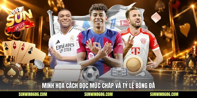 Minh họa cách đọc mức chấp và tỷ lệ bóng đá